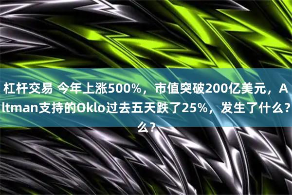 杠杆交易 今年上涨500%，市值突破200亿美元，Altman支持的Oklo过去五天跌了25%，发生了什么？
